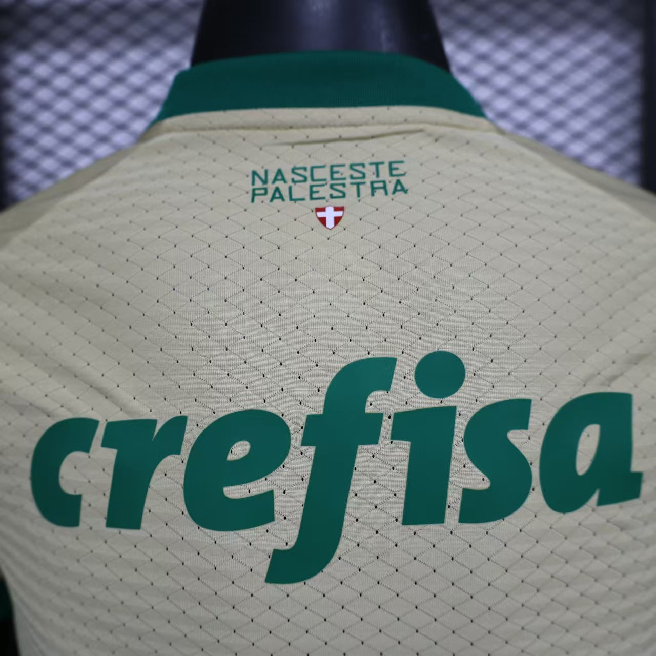 Camisa Palmeiras Versão jogador 24/25