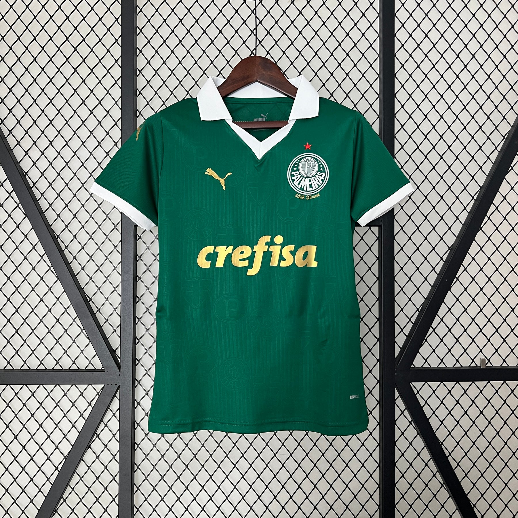 camisa palmeiras feminina 24/25