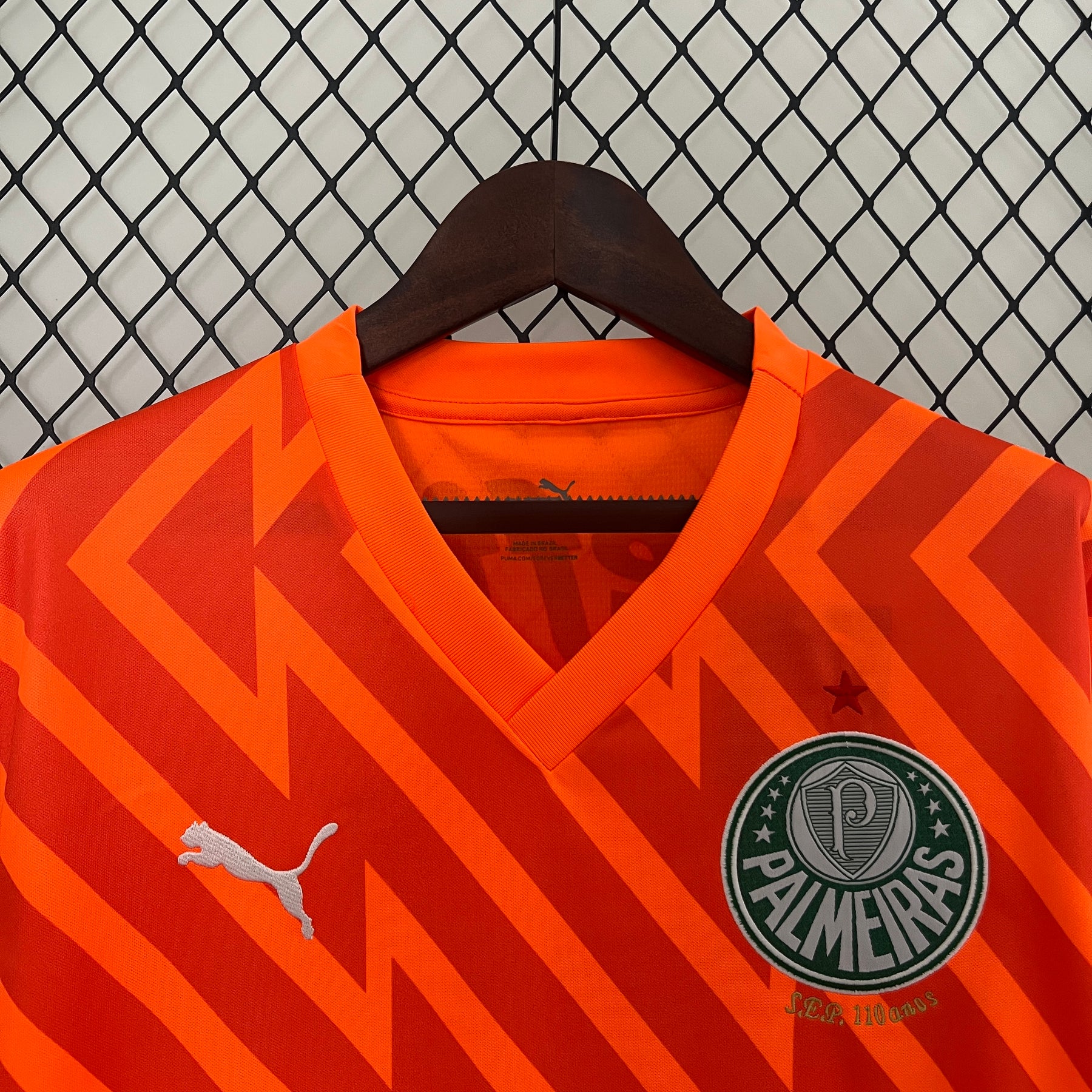 Camisa Palmeiras Goleiro 24/25