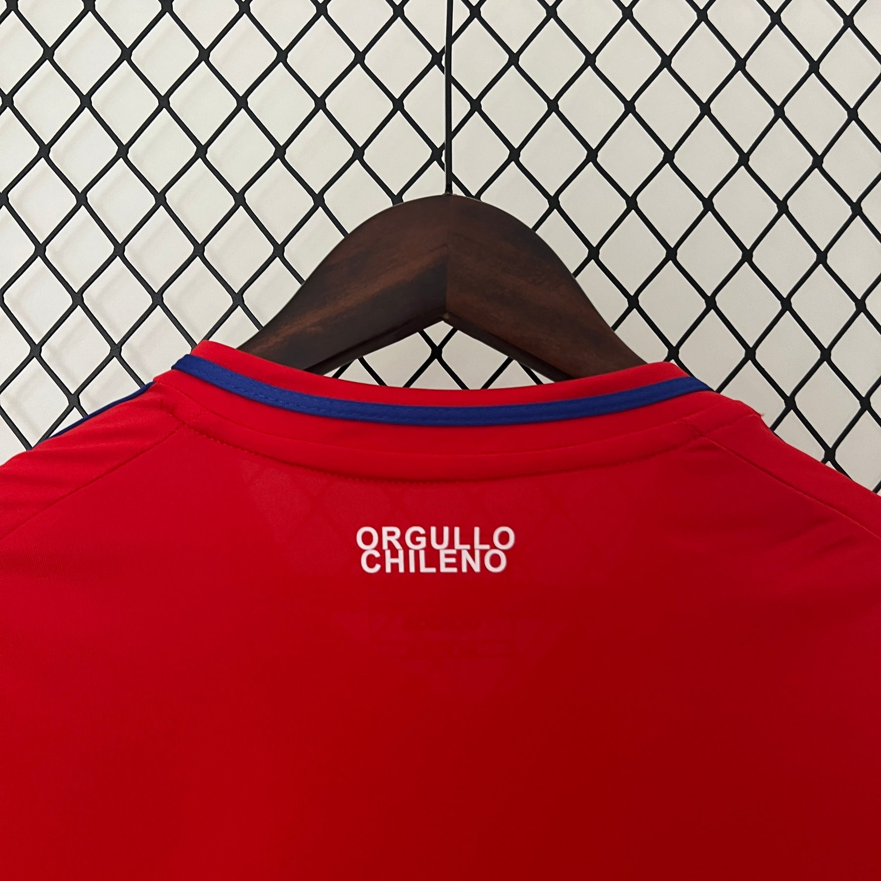 Camisa Chile 24