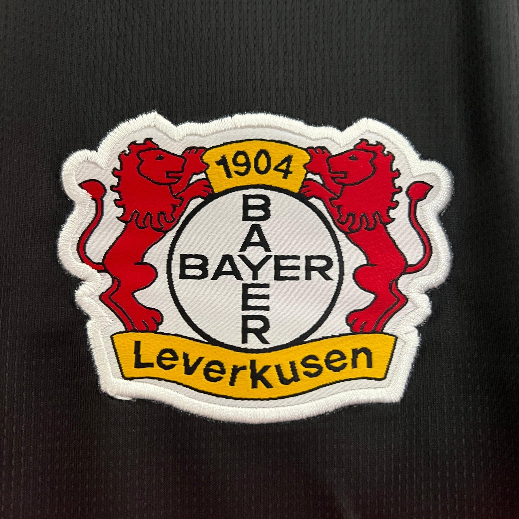 Camisa Bayer 04 Leverkusen 24/25