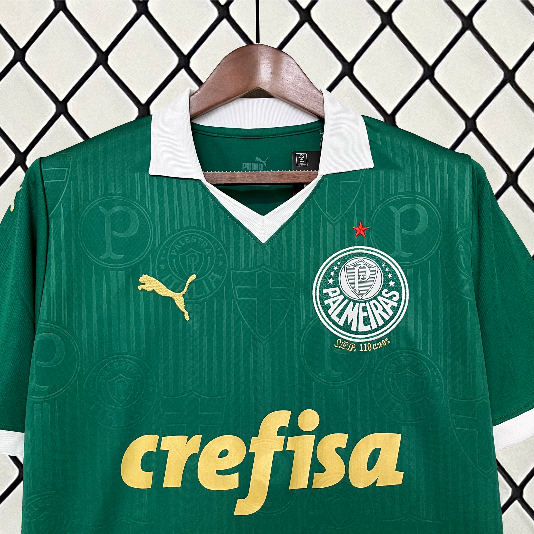 Camisa Palmeiras 24/25