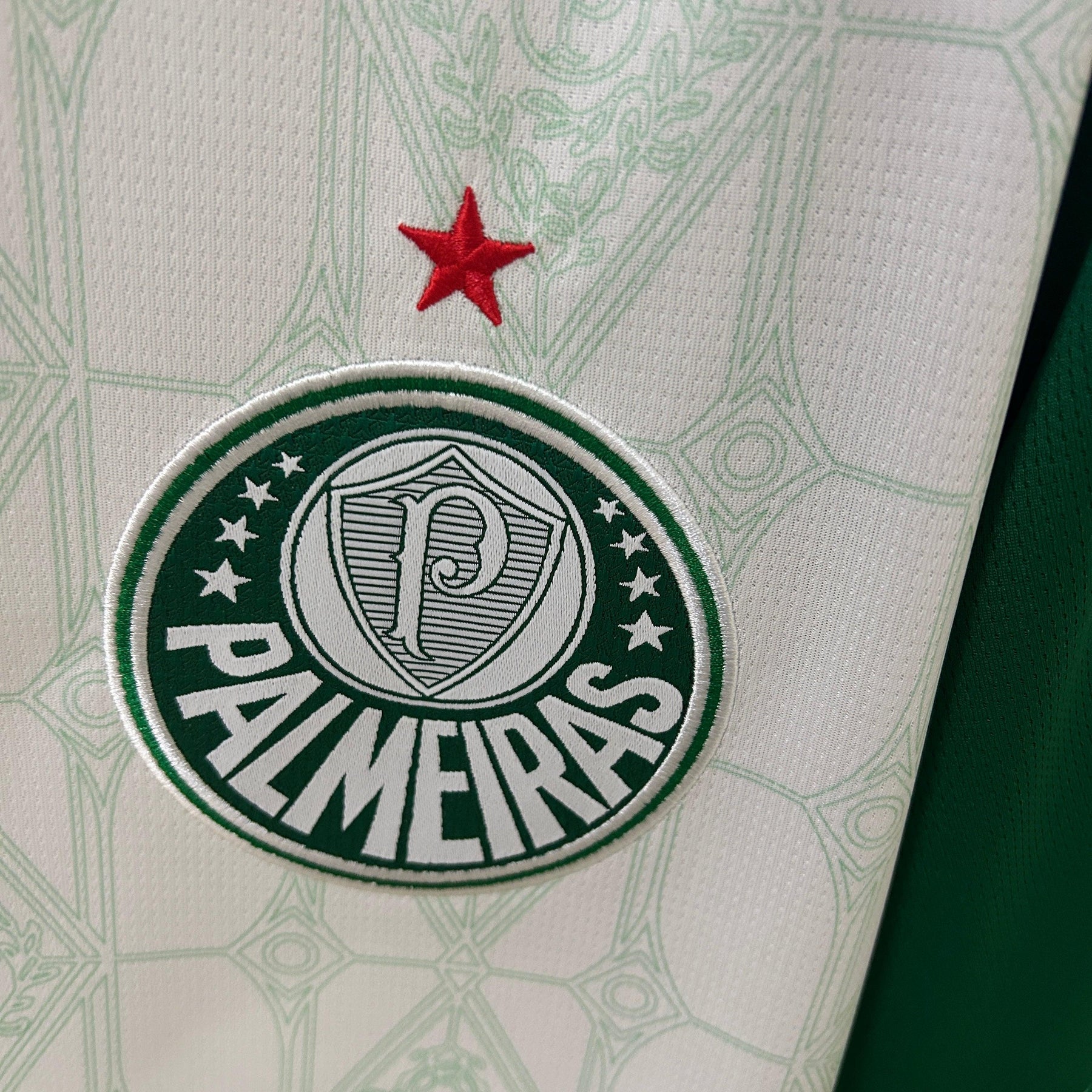 Camisa Palmeiras 24/25