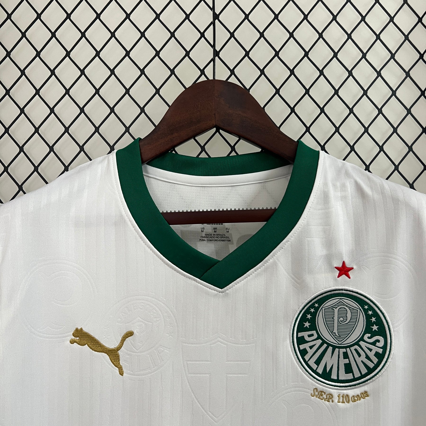 Camisa Palmeiras Regata 24/25