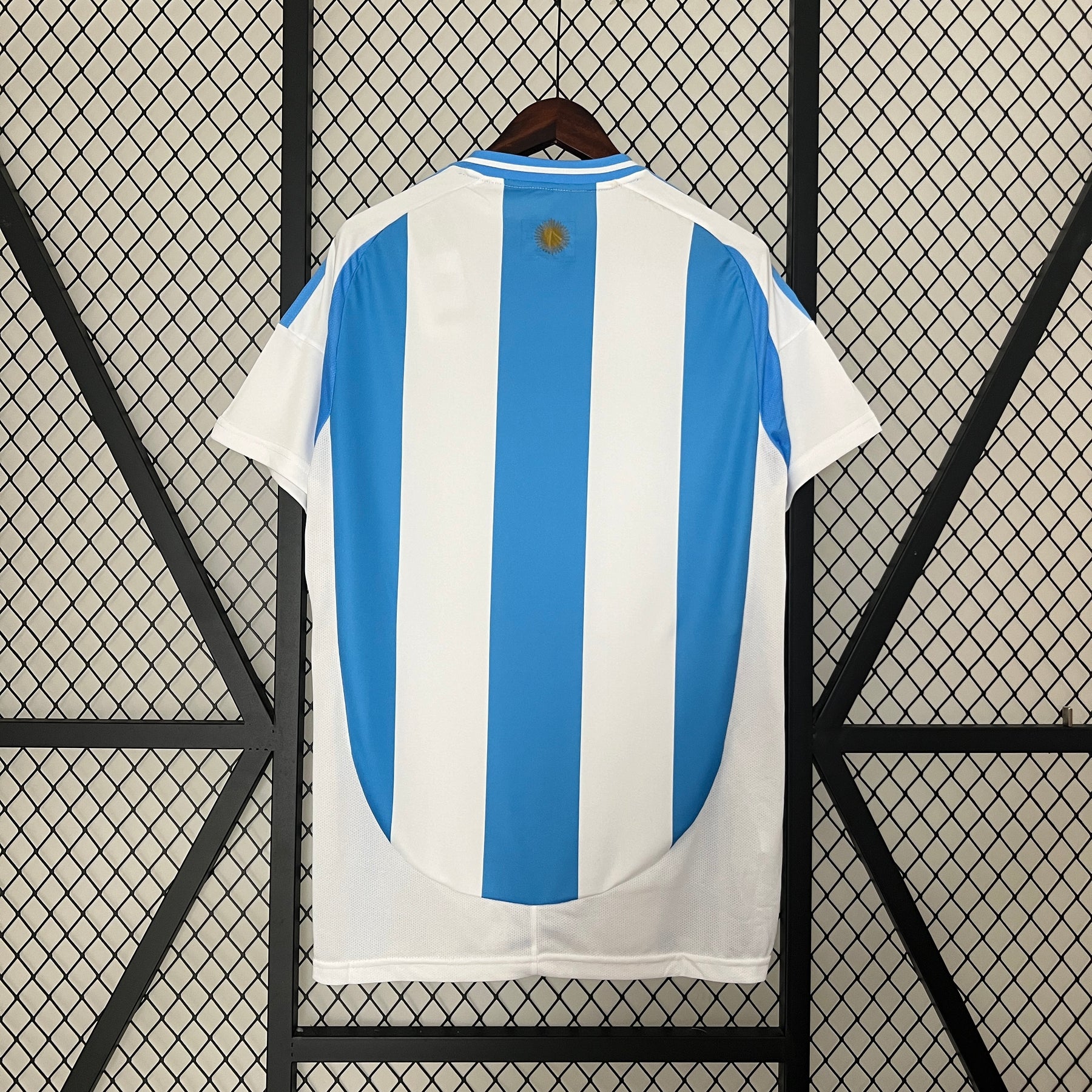 Camisa Argentina 24