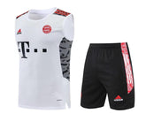 Kit de Treino Bayern München 22/23