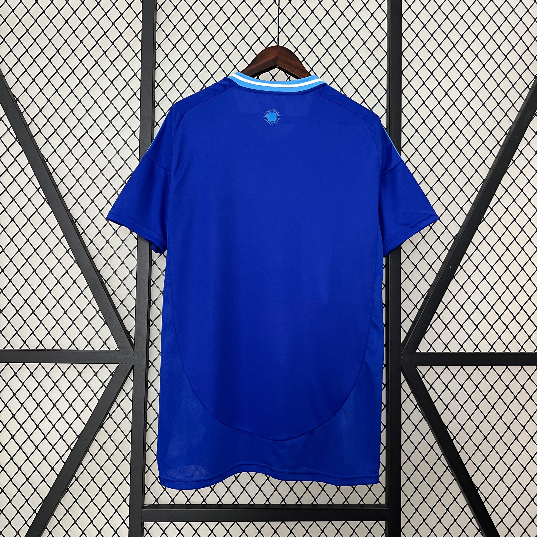 Camisa Argentina 24
