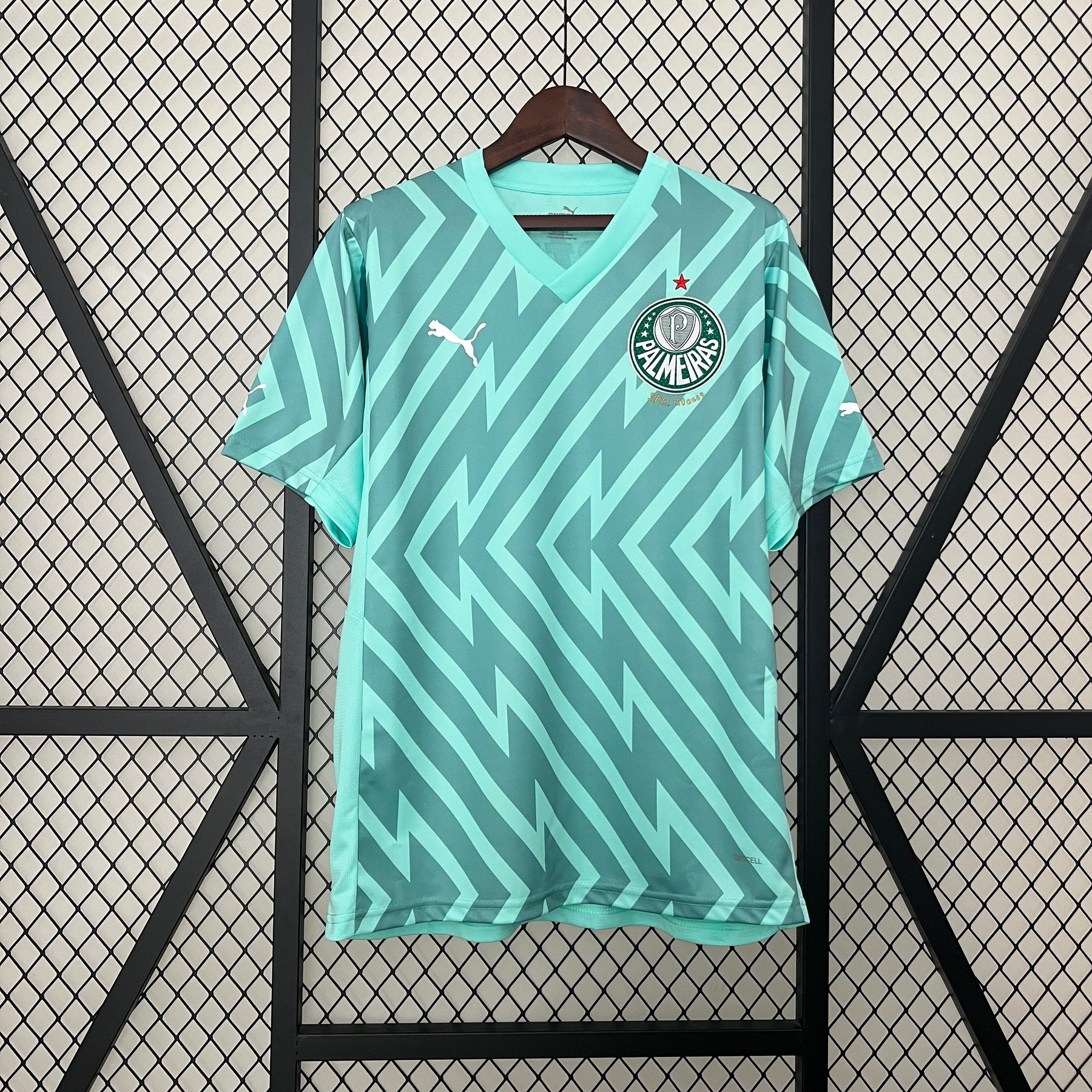 Camisa Palmeiras Goleiro 24/25