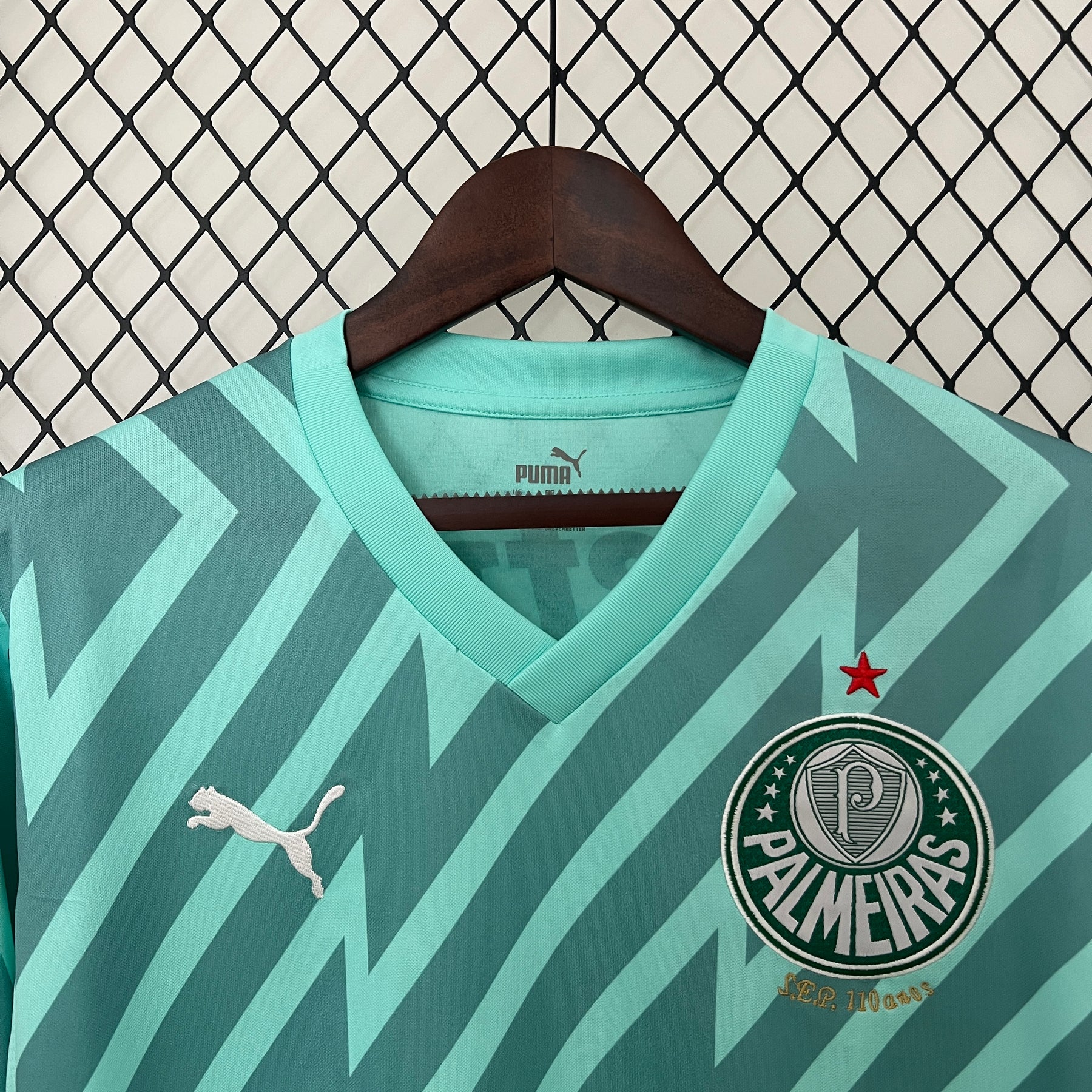 Camisa Palmeiras Goleiro 24/25