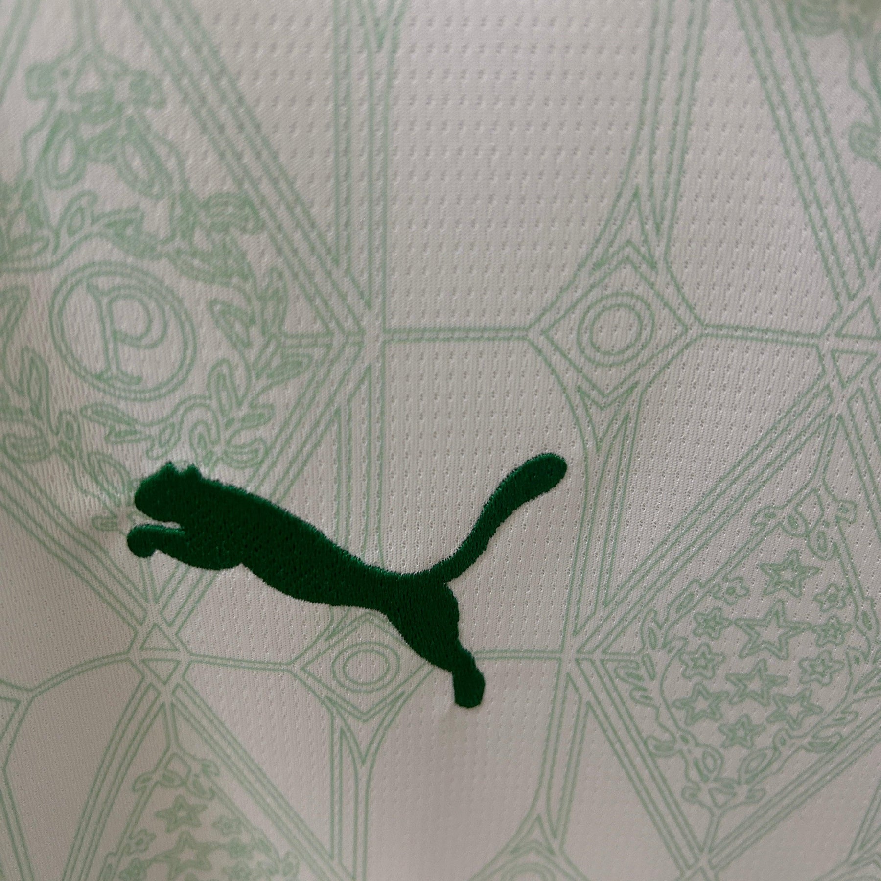 Camisa Palmeiras 24/25