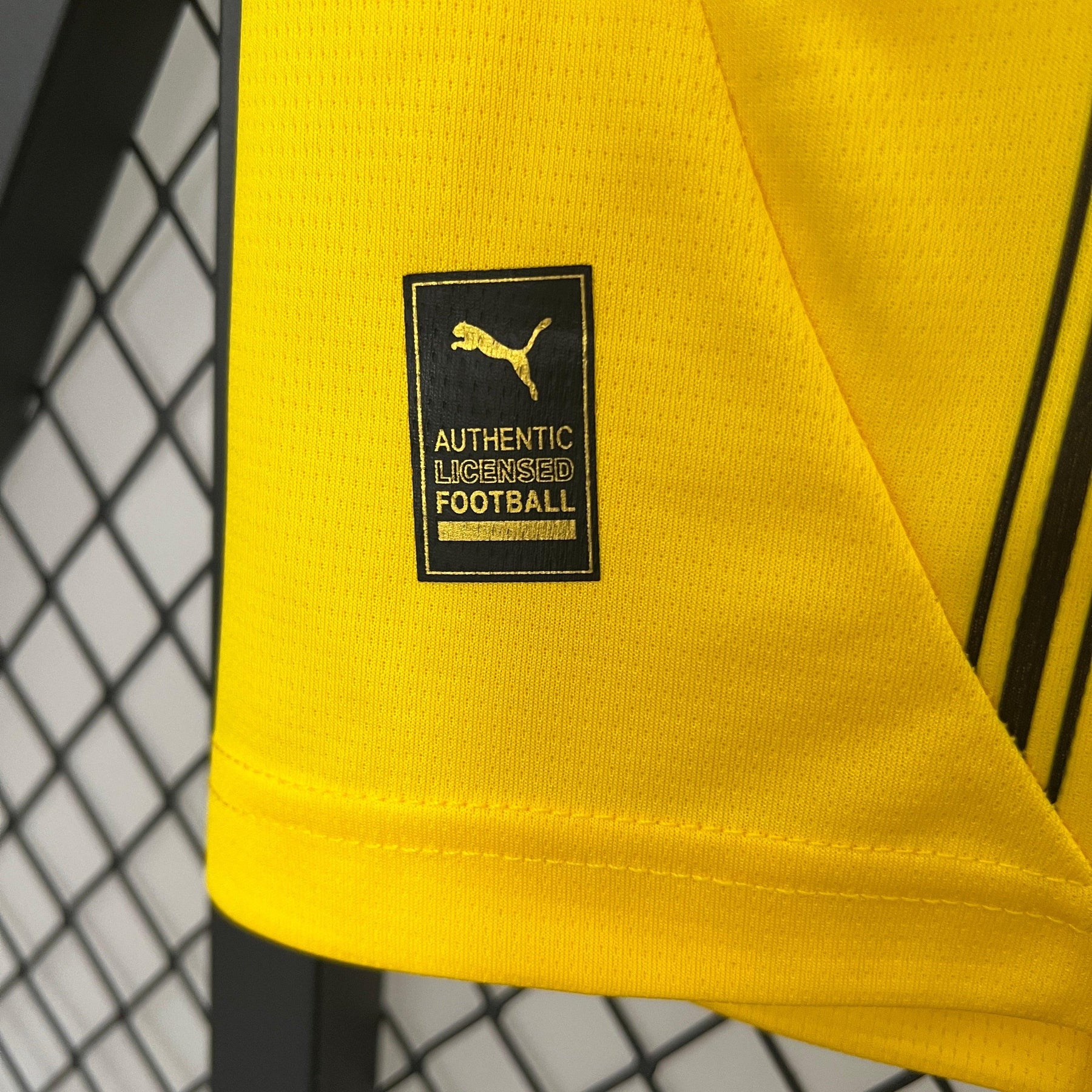 Camisa Borussia Dortmund 24/25