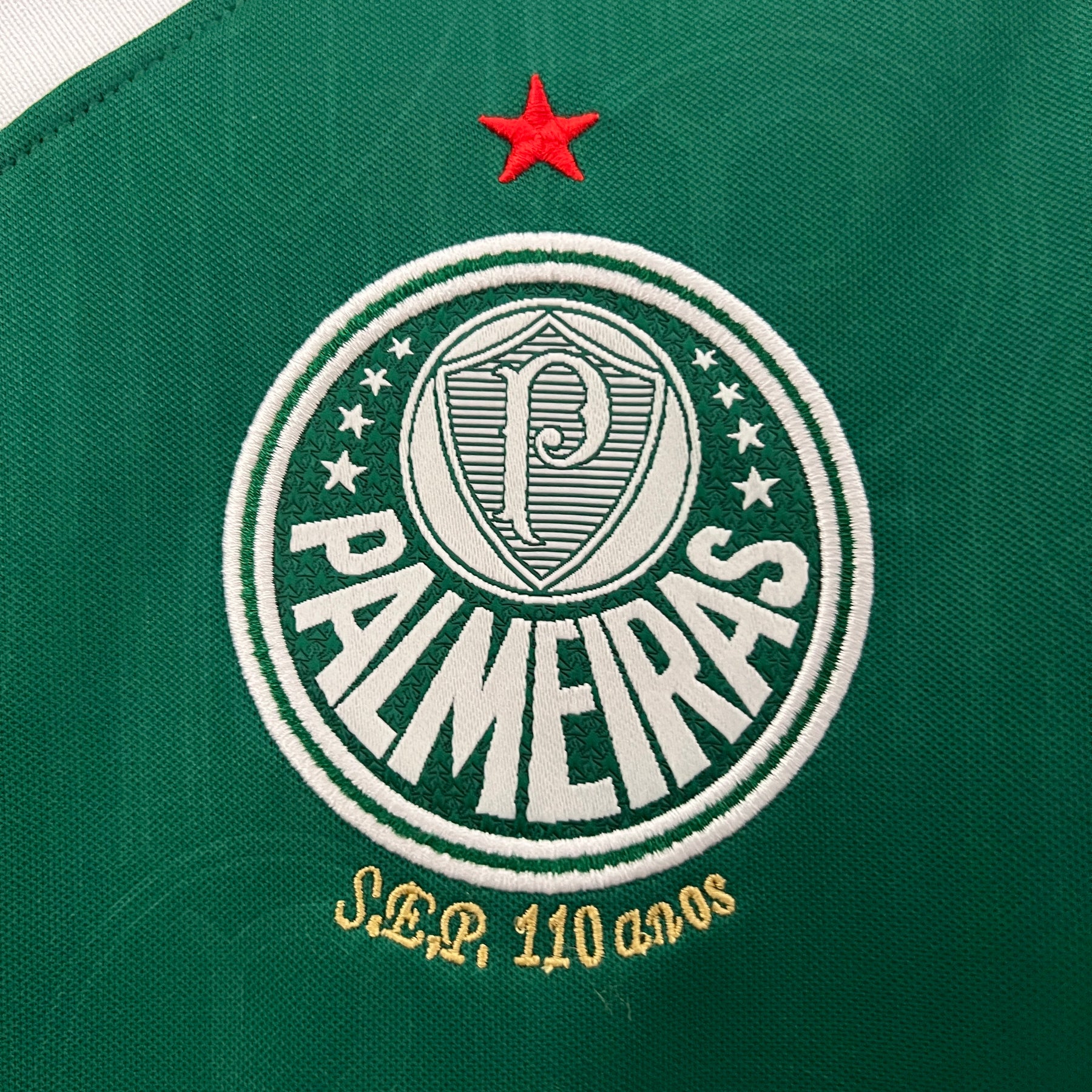 camisa palmeiras feminina 24/25