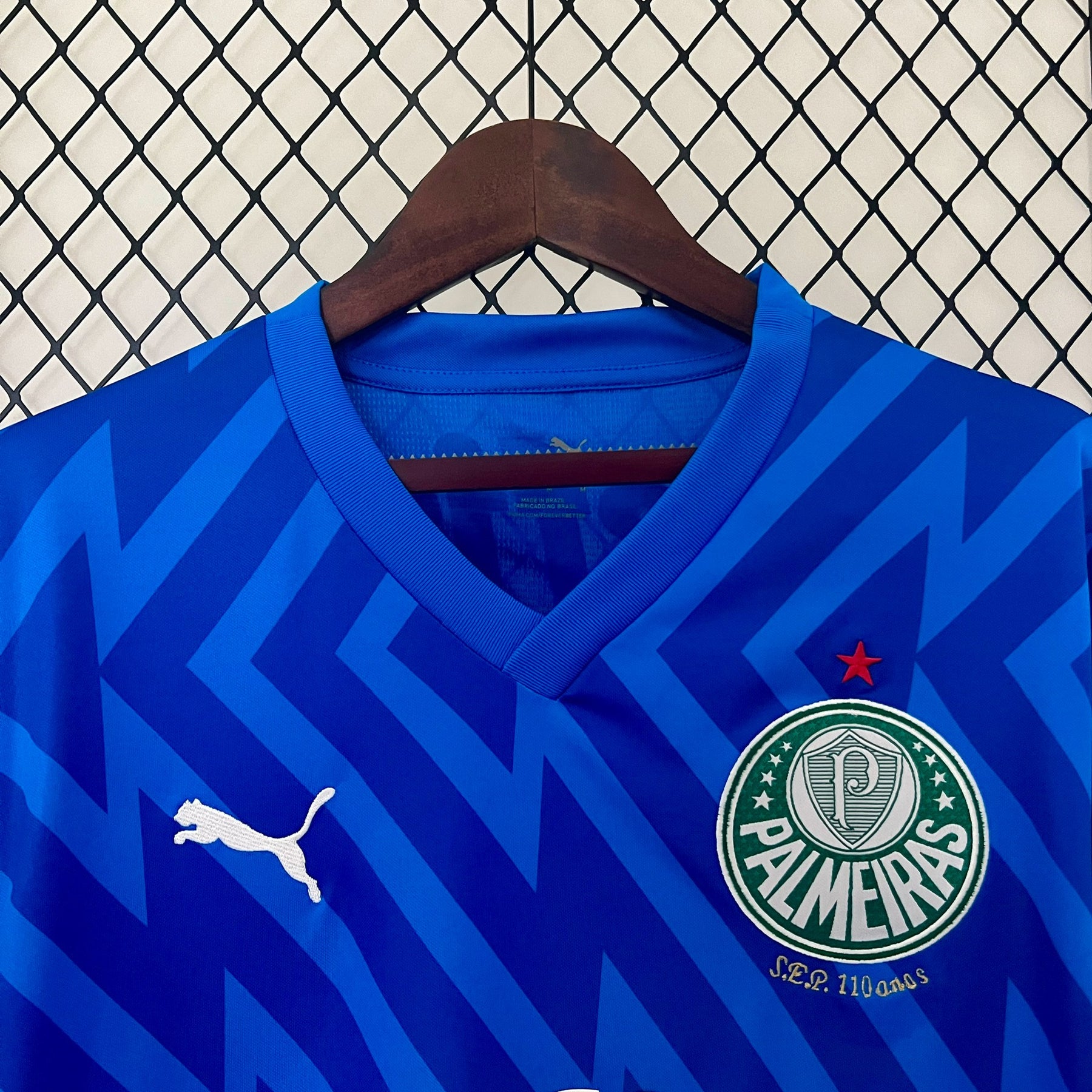 Camisa Palmeiras Goleiro 24/25