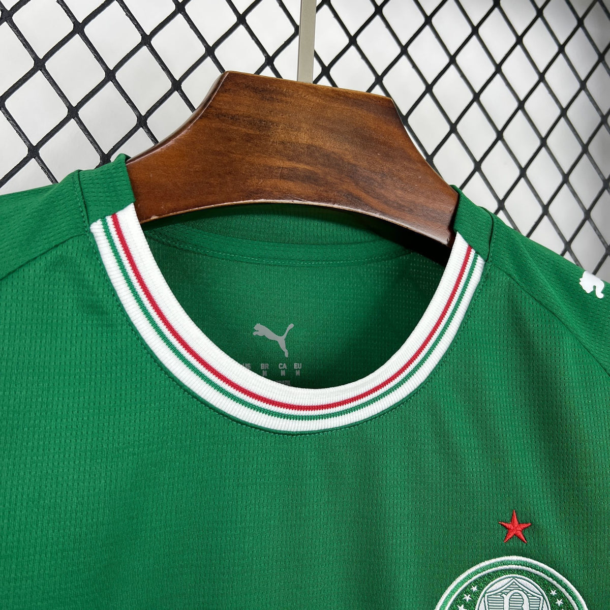 camisa palmeiras feminina 2026