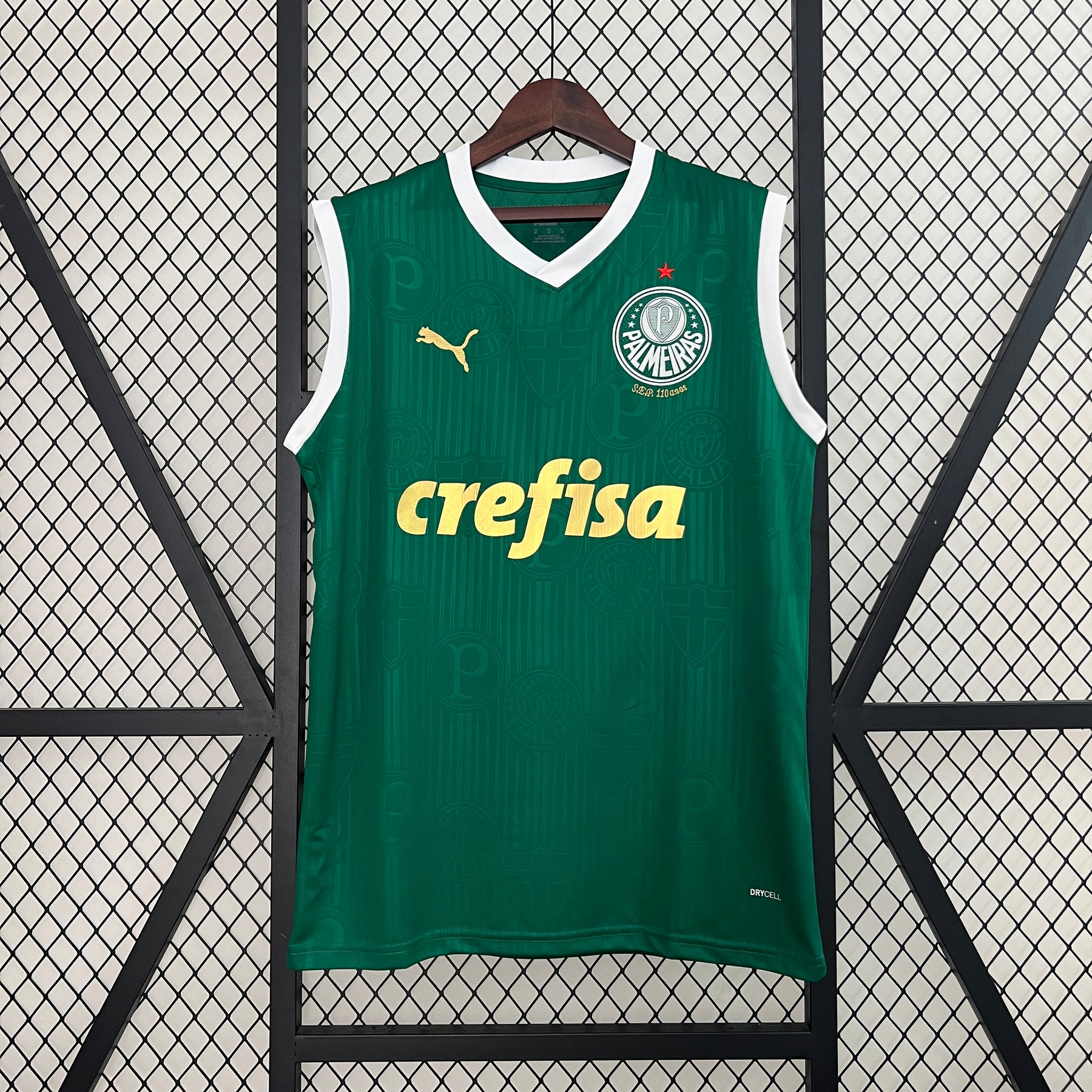Camisa Palmeiras Regata 24/25