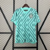 Camisa Palmeiras Goleiro 24/25