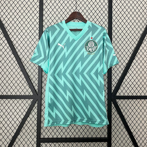 Camisa Palmeiras Goleiro 24/25