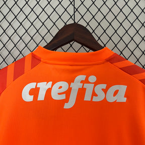 Camisa Palmeiras Goleiro 24/25