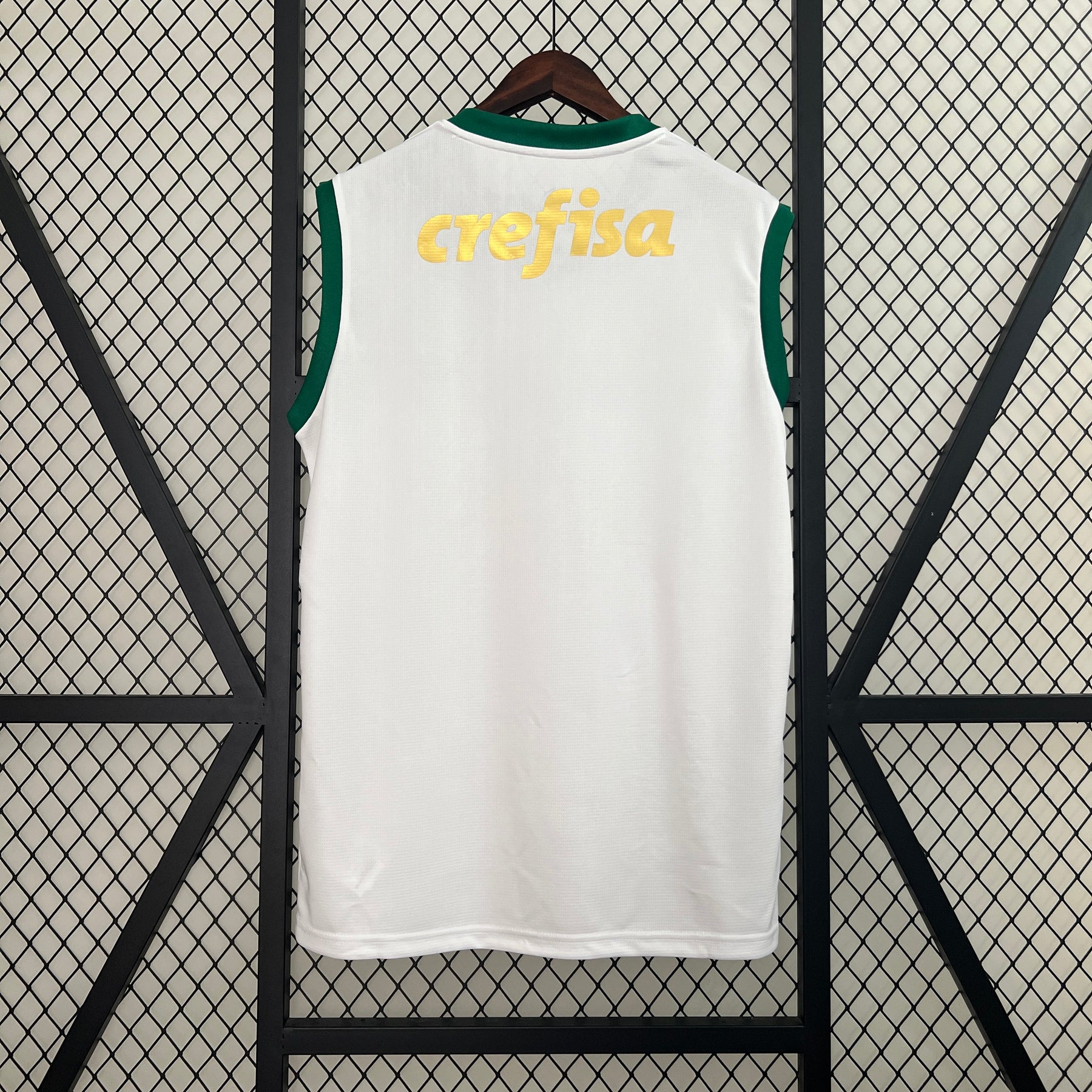 Camisa Palmeiras Regata 24/25