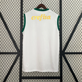 Camisa Palmeiras Regata 24/25
