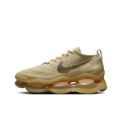 Tenis Nike Air Scorpion