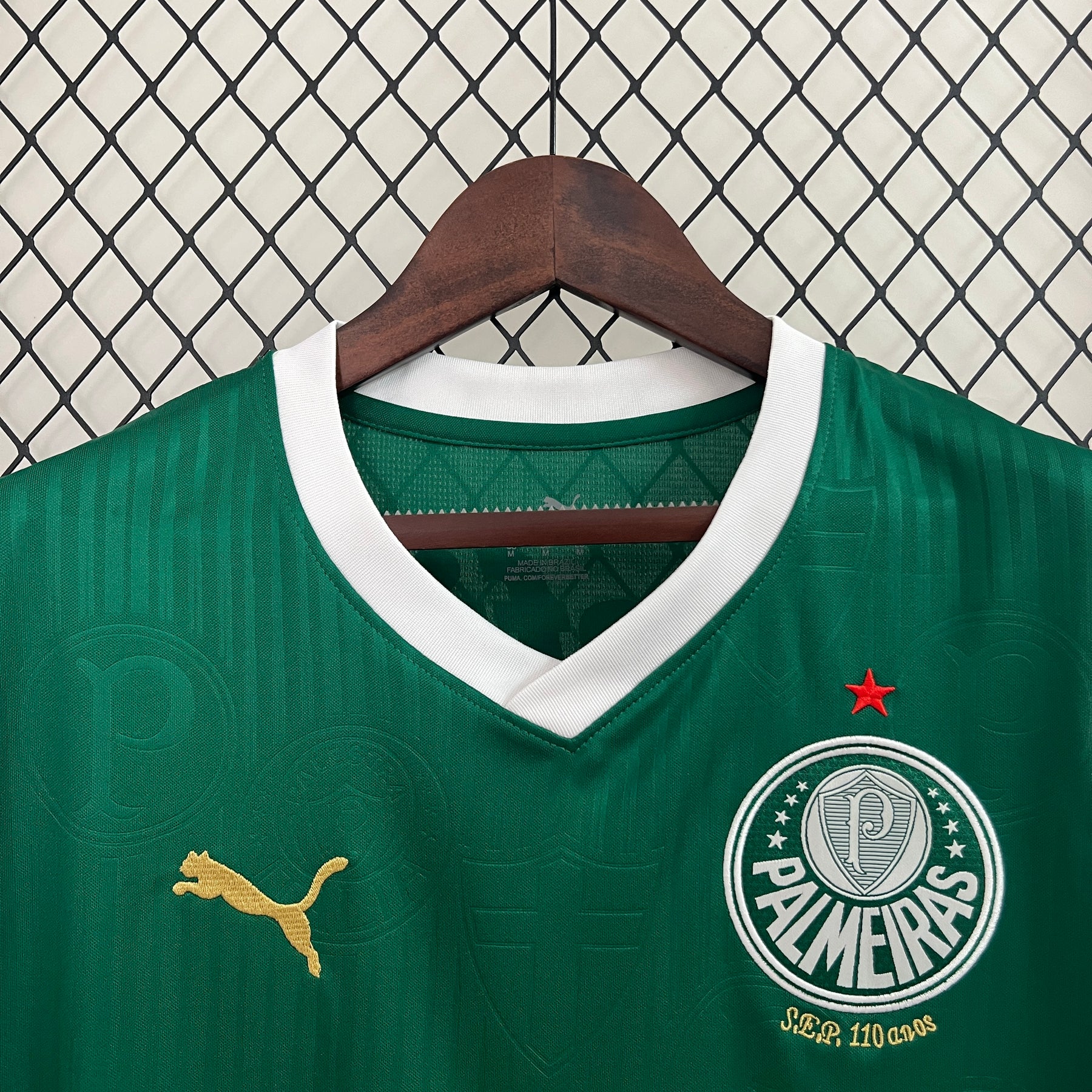 Camisa Palmeiras Regata 24/25
