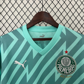 Camisa Palmeiras Goleiro 24/25