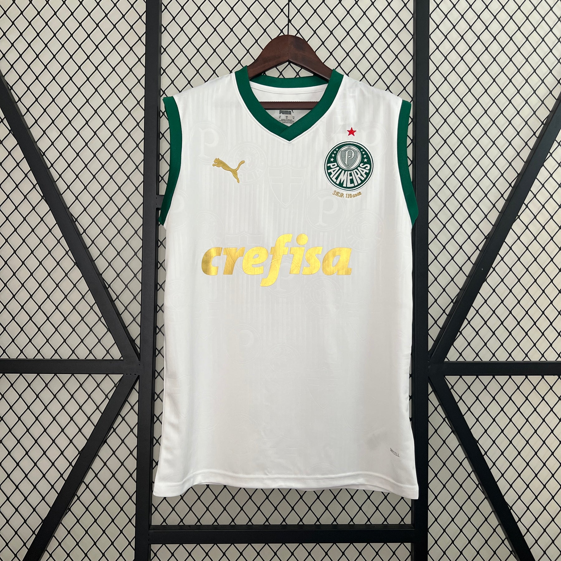 Camisa Palmeiras Regata 24/25