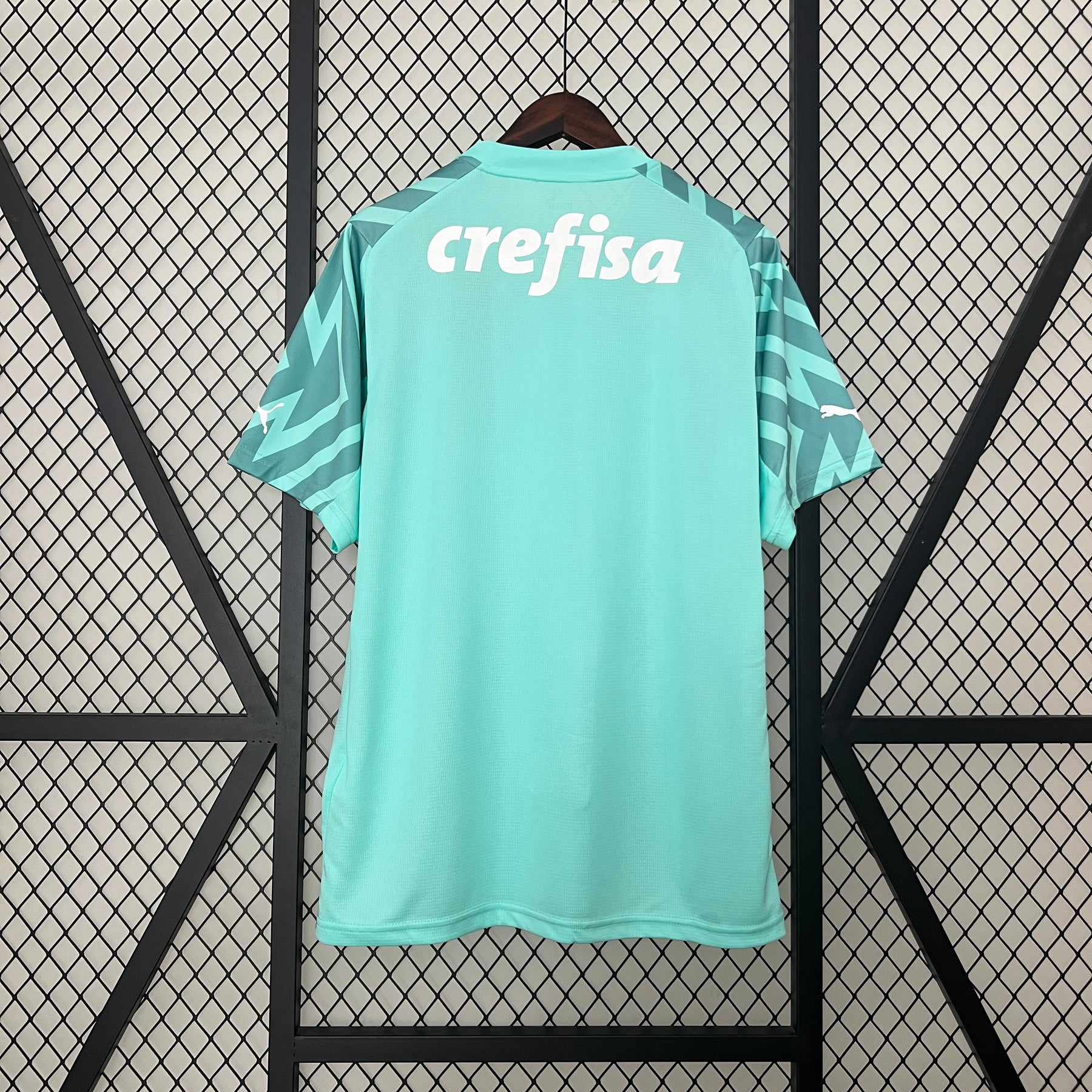 Camisa Palmeiras Goleiro 24/25
