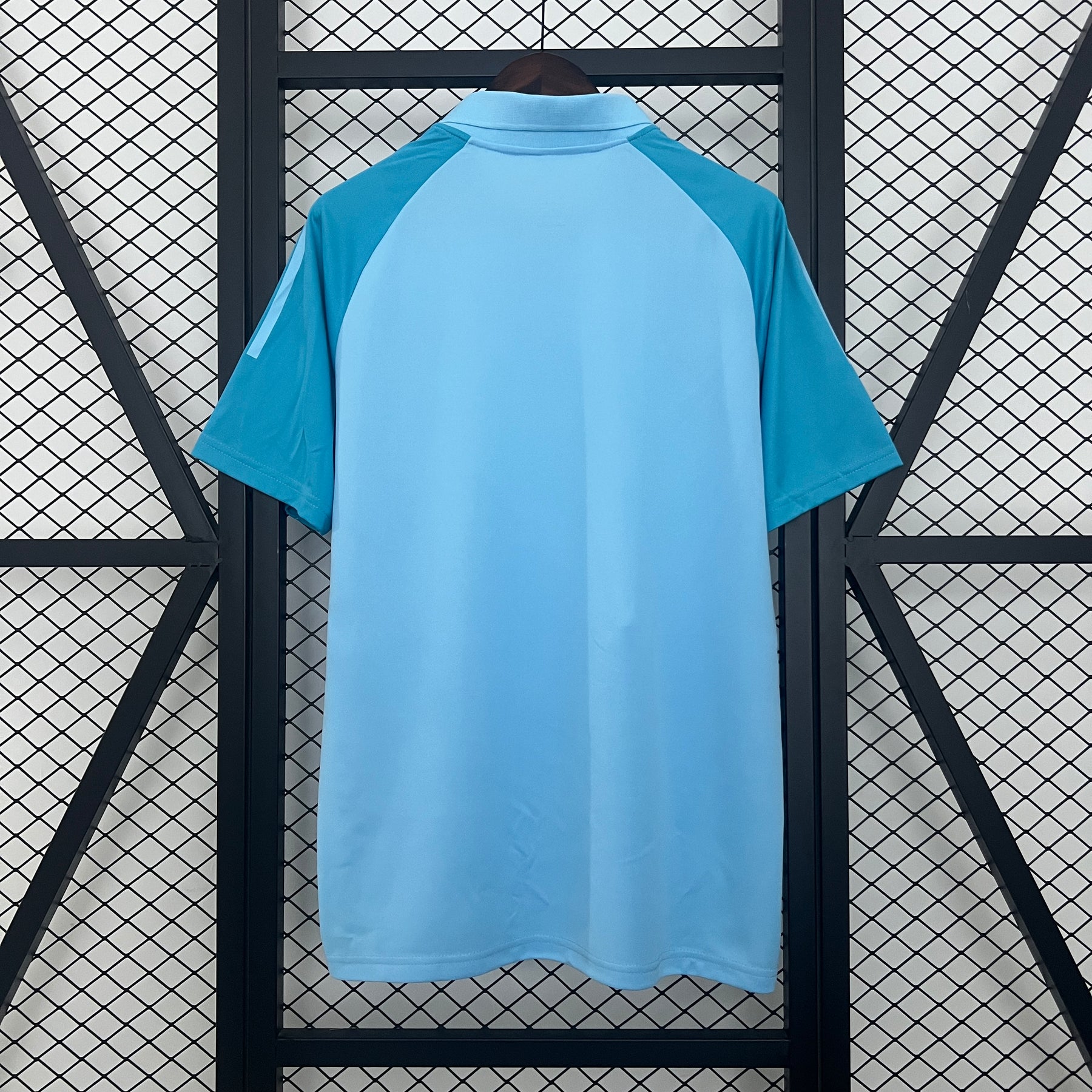 Camisa Flamengo polo treino 25/26